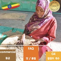 캅카와 생두 에티오피아 시다모 내추럴 G4 (뉴크롭), 10kg