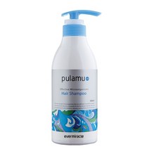 [이엠코라존] EM샴푸(500ml) 약산성 지루성 단백질 천연계면활성제샴푸 일반샴푸, 2개, 500ml