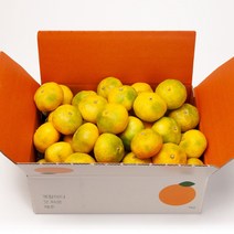 깨비농원 노지 감귤 9kg, 1box, 노지 감귤 9kg 중과(L-2L)