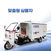 전동 스쿠터 삼륜차, 블랙, 전동 삼륜차