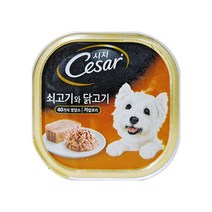 시저 반려견 주식캔, 소+닭, 100g, 7개