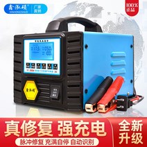 주행 충전기 차량용 인산철 배터리 뱅크 14.6v 파워뱅크 이온 파워 캠핑, 고출력20AH-600AH 12v24v