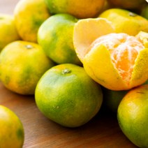 제주 새콤달콤 하우스 감귤 4.5kg소과2S-S