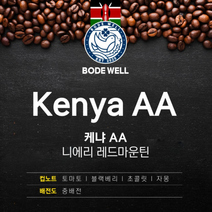보드웰 케냐AA 니에리레드마운틴 로스팅 원두, 1kg, 에스프레소 머신