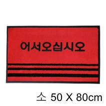 먼지 유입차단 매장 출입구 발매트 소 현관발판 업소용발매트