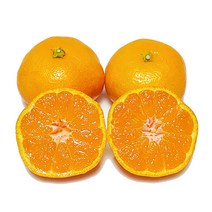 [제주의맛] 맛있는 제철 감귤 산지직송! 품질보장!, 감귤 중과(M~L) 10kg