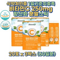 데일리 비타민C 250mg 항산화 분말스틱 60포 2개월 비타민씨 비타민시 패밀리 온가족 철분흡수 기미 주근깨 피부 수험생 고시생 청소년 중학생 고등학생 학생 비타민씨 영양제