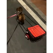 시바견 소형견 짐마차 트레일러 수레 장난감차 블랙 유모차, 작은 빨간 차 (개 3~5.4kg)