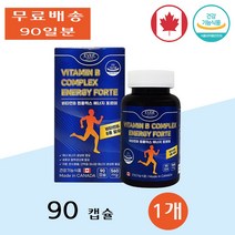 에버그린 비타민 B3 B5 B7 B9 컴플렉스 에너지 포르테 임산부 직장인 90캡슐 1개