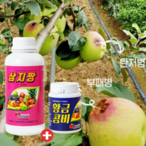 삼지짱 1000ml 황금콤비 250g 고추탄저병약 사과탄저병약 오이노균병약 겹무늬썩음병 탄저병 탄저균 약 살균제 예방약 농약 살충제, 삼지짱1000ml+황금콤비250g
