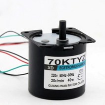 70KTYZ AC 모터 220V 2.5rpm 110rpm 마이크로 저속 기계 40W 영구 자석 소형, 01 2.5 RPM