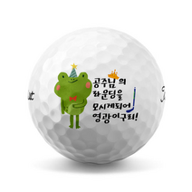 동물캐릭터 손글씨 선물 골프공 로고 인쇄 제작(12구), B, 스릭슨 TRISPEED 12구 화이트