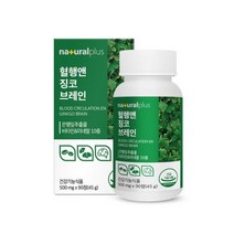 혈행앤 징코 브레인 90정 은행잎추출물 건강기능식품