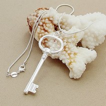 변색없는목걸이 은목걸이 925 스털링 실버 목걸이 Zilver meer검정색 옷걸이 하트 론드 키 크루즈 Voor Vrouw 남자 파티 Sieraden Slang Ketting