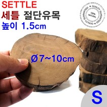 세틀 절단 유목 S (높이1.5cm/지름 7~10cm)/수족관 어항 장식품 꾸미기 모스 수초 활착 레이아웃 컷팅 구피