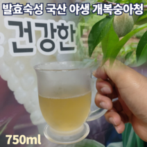 야생 토종 국내산 강원도 홍천 돌 복숭아 청 개복숭아 액기스 엑기스 진액 발효 액 진액 숙성액 절임 효소 액상 부모님 간절기 선물세트 750ml, 1개