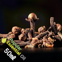 K009 클로브립 100ml (Clove Essential Oil) 천연에센셜 오일 보급형 원액 아로마