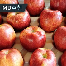 [당일수확발송] 부사 홍로 빨간사과 고당도 가정용 꿀 사과, 1개, 3kg 중과(11-12과)