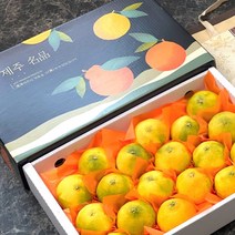 제주 황금향 선물용 선물세트 1kg 2.5kg 4.5kg 제주직송 당일수확 신선배송, 선물용 4.5kg대과(10-15과 내외)