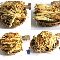 금산인삼도매센터 흠있는수삼 대[세척] 수삼 삼계탕용 가정용, 1팩, 750g