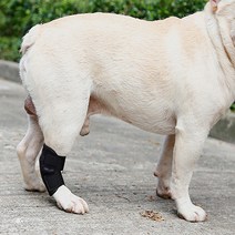강아지 무릎 보호 슬개골 탈골 보호대, 4애견슬개골보호대-XL