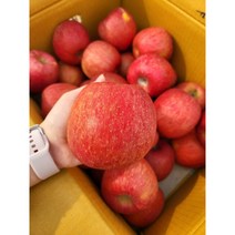 장수사과 친환경 사과 부사 흠집사과 흠사과 1.5KG 2.5KG 5KG 10KG, 흠사과 대과, 1개