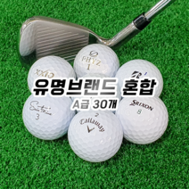 타이틀리스트 유명브랜드 혼합 로스트볼 A+급, 30개, 3.유명브랜드 혼합 A급