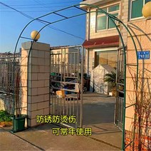 대문아치 가든 아치 게이트 대문 포도나무 터널 펜스, 중간, 녹색 2.9mx2.2m(폭x높이)