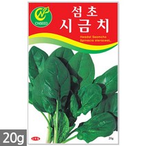 흰강낭콩 씨앗 30g - 네이비빈 강낭콩씨앗 강낭콩씨 콩씨앗 콩씨 씨 강남콩 주말농장 텃밭, 08_섬초시금치(20g)