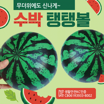 비치볼 [수박비치볼] 비치볼/칼라비치볼/무지비치볼/삼색비치볼/돼지비치볼/물놀이공/물놀이용품/탱탱볼, 돼지탱탱볼(핑크)