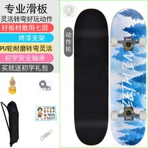 스케이트보드 어린이스케이트 롱보드 크루저 댄싱 카버 랜드서핑 서핑 페니 숏, 레이크블루