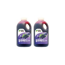 프레쉬에또 프레시에또 블루베리 농축액 1.8kg 2개세트