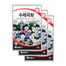 수레국화 씨앗 2g 3봉 센토레아 콘플라워 종자 cornflower knapweed seed, 7개
