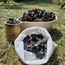 흑목이버섯 싸게파는곳 검색결과