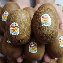 국산키위 골드키위 제주 키위 골드키위제스프리, 제주 제스프리 골드키위_특대과