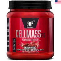 BSN 크레아틴 BCAA 파우더 4가지맛, Watermelon 495g