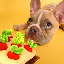 아이핏코리아 삑삑이 노즈워크 장난감 당근농장 + 당근리필 3개