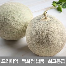 영화농산 영화청과 국내산 멜론 8kg 프리미엄 백화점 납품 가격 허니듀 머스크 시세, 녹색, 상세페이지 별도표기