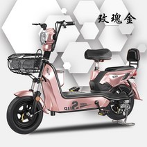 가성비 전기 자전거 바이크 접이식 배달 미니 중고 로드 독일 D 자동차 새로운 국가 표준 이륜 배터리 자동차, 48v, 12아, 로즈 골드 - 22a 배터리 포함