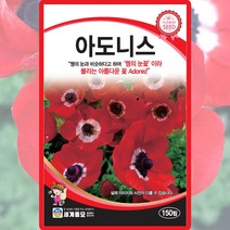 아도니스 씨앗 아도니스 씨 야생화 꽃 종자 150립, 단품