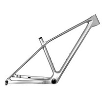 T1000 29er MTB 카본 프레임 하드 테일 148x12mm 부스트 BB92 플랫 마운트 디스크 브레이크 UDH 행거 슈퍼 라이트 산악 자전거, silver+L