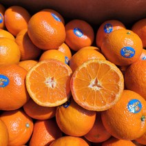 캘리포니아 큐티스 만다린 오렌지귤 신비귤, 만다린귤 1kg(1팩), 1개