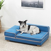 오모펫 모던블루 BPG2 소파