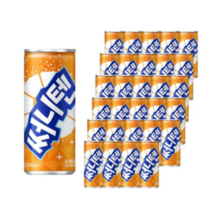 해태음료 써니텐, 오렌지, 24개, 250ml