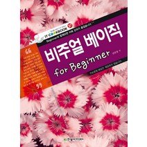 비주얼 베이직 for Beginner, 한빛아카데미