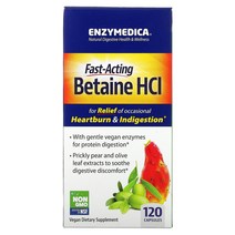 Enzymedica 베타인 HCL 캡슐 120정