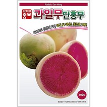 아시아종묘 과일무씨 단홍무씨앗 무우씨 (100립)