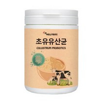 초유단백질 보충제 쉐이크 유청단백질 아미노산 완전단백질 포대유청 우유단백질 성인초유 단백질하루섭취량 근육 영양보충제 초유 모유유산균 포스트바이오틱스