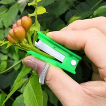 수목전지용 가위 조경가위 전정가위 소나무가지치기 사과나무전지 1pc 다기능 엄지 칼 안전한 과일 블레이드 도구 정원 pruner 과일 따기 장치 절단 블레이드 반지 손가락