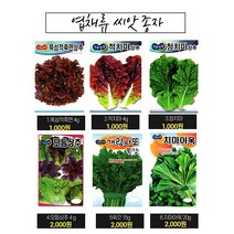 아욱 쑥갓 열무 알타리 더덕 도라지 상추씨앗 종자 엽채류 민속채소 54종 모음세트 (상추 씨앗 종자 엽채류 민속채소 모음세트), 38.적생채 300립